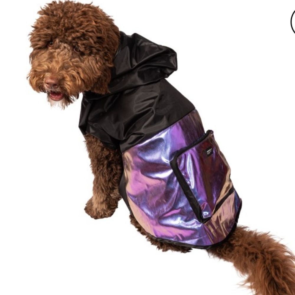 Waterproof Prism Colorblock Dog Raincoat
